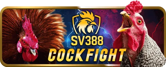 Kinh nghiệm và mẹo chơi game tại Winbet79